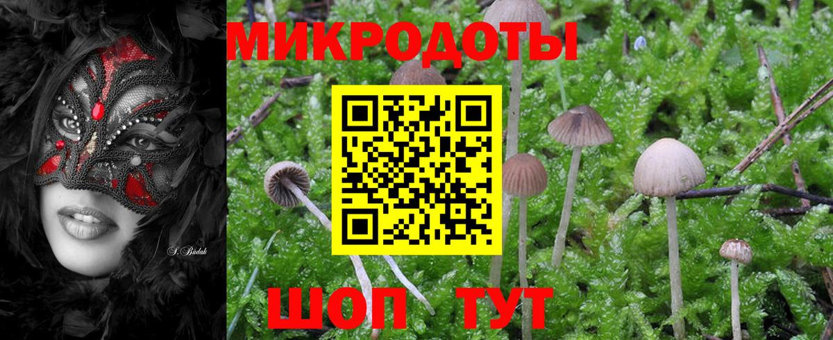 Псилоцибиновые грибы MAGIC MUSHROOMS  наркошоп  Корсаков  Вход с VPN 
