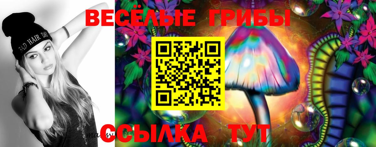 Галлюциногенные грибы Psilocybe Корсаков